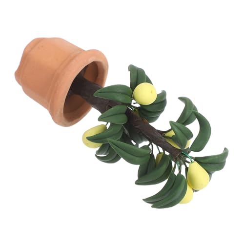 TOYANDONA Maßstab Miniatur Topfpflanze DIY Bastelset Puppenhaus Dekoration Grünpflanze für Kinderzimmer und Kreative Szenen Gestaltung TOYANDONA Maßstab Miniatur Topfpflanze DIY Bastelset Puppenhaus Dekoration Grünpflanze für Kinderzimmer und Kreative Szenen Gestaltung von TOYANDONA
