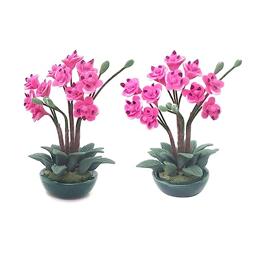 TOYANDONA Mini- -Miniatur- Zubehör Für Den Puppenhausgarten Blumen Pflanzen Strauß Feenhäuser Für Den Garten Gefälschte Pflanze Miniatur Fischglas Mini-hausschmuck Rosy TOYANDONA Mini- -Miniatur- Zubehör Für Den Puppenhausgarten Blumen Pflanzen Strauß Feenhäuser Für Den Garten Gefälschte Pflanze Miniatur Fischglas Mini-hausschmuck Rosy von TOYANDONA