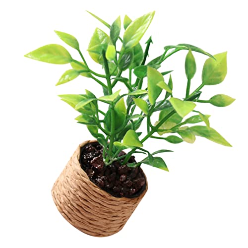 TOYANDONA Mini Orangenbaum Schlüsselanhänger Vogeltränke Blumen Puppentiere Kleine Tasche Schlüsselanhänger Puppenhaus Ornamente Coole Kerzenständer Figuren Pflanze Kleinkindspielzeug TOYANDONA Mini Orangenbaum Schlüsselanhänger Vogeltränke Blumen Puppentiere Kleine Tasche Schlüsselanhänger Puppenhaus Ornamente Coole Kerzenständer Figuren Pflanze Kleinkindspielzeug von TOYANDONA