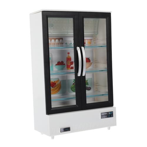 TOYANDONA Miniatur Kühlschrank Für Puppenhaus Kühlschrank Zubehör Für Kreative Spielideen Ideal Für Puppenhaus Küche Und Miniatur Lebensmittel Perfekt Für Und Sammler von TOYANDONA