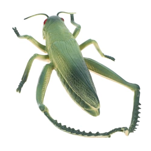 TOYANDONA Miniaturtiere Insekten lernspielzeug Scherzspielzeug Outdoor für Outdoor- Zikadenspielzeug realistisches insektenspielzeug PVC Green TOYANDONA Miniaturtiere Insekten lernspielzeug Scherzspielzeug Outdoor für Outdoor- Zikadenspielzeug realistisches insektenspielzeug PVC Green von TOYANDONA