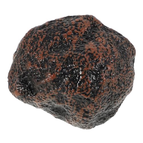 TOYANDONA Modell Mit Schwarzem Trüffel Indoor-langhantel Kleinkindspielzeug Kinderzubehör Kinderspielzeug Lebensmittelspielzeug So Tun, Als Ob Wäre Kinderwagen Plastik Black TOYANDONA Modell Mit Schwarzem Trüffel Indoor-langhantel Kleinkindspielzeug Kinderzubehör Kinderspielzeug Lebensmittelspielzeug So Tun, Als Ob Wäre Kinderwagen Plastik Black von TOYANDONA