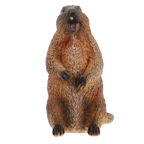 TOYANDONA Murmeltier Modell Babyspielzeug Murmeltier Haushaltsbedarf Künstliche Gartentierfigur Künstliche Tierfigur Murmeltier Figur Nützlich Für Die Intelligenz PVC TOYANDONA Murmeltier Modell Babyspielzeug Murmeltier Haushaltsbedarf Künstliche Gartentierfigur Künstliche Tierfigur Murmeltier Figur Nützlich Für Die Intelligenz PVC von TOYANDONA
