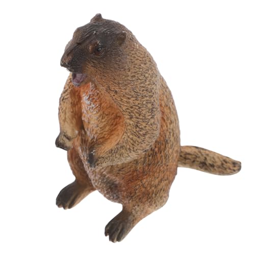TOYANDONA Murmeltier Modell Babyspielzeug Tierfigur Figur Simuliertes Tiermodell Haushaltsbedarf Simulation Tierfigur Schmuck Landschaftstier Murmeltier Basteln Foto Requisite TOYANDONA Murmeltier Modell Babyspielzeug Tierfigur Figur Simuliertes Tiermodell Haushaltsbedarf Simulation Tierfigur Schmuck Landschaftstier Murmeltier Basteln Foto Requisite von TOYANDONA