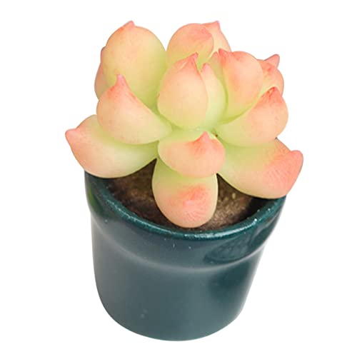 TOYANDONA Puppenhaus Topfpflanze Künstlicher Bonsai Garten Bonsai Modell Sukkulenten Pflanzgefäße Mini Blumendekor Puppenhaus Tapete Kunstpflanzen Miniatur Mini Häuser TOYANDONA Puppenhaus Topfpflanze Künstlicher Bonsai Garten Bonsai Modell Sukkulenten Pflanzgefäße Mini Blumendekor Puppenhaus Tapete Kunstpflanzen Miniatur Mini Häuser von TOYANDONA