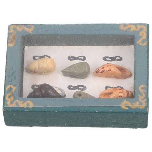 TOYANDONA Miniatur-puppenhaus-modellbausatz Muschel-aufbewahrungsbox Für Sammler – Perfekte Mini-werkzeugkiste Für Handgefertigte Mini-Spielzeug-aufbewahrungskoffer TOYANDONA Miniatur-puppenhaus-modellbausatz Muschel-aufbewahrungsbox Für Sammler – Perfekte Mini-werkzeugkiste Für Handgefertigte Mini-Spielzeug-aufbewahrungskoffer von TOYANDONA
