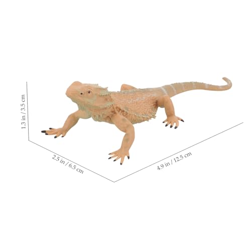 TOYANDONA Realistische Bartagamen Figur Plastik Eidechsenmodell Lernspielzeug für Leichtes Reptilien Detailgetreue Lizard Statue für Schule Park Garten Dekoration von TOYANDONA