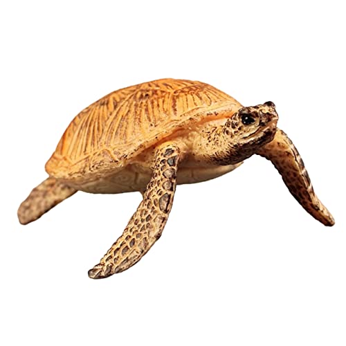 TOYANDONA Schildkrötenmodell Spielzeug für Kinder Realistische Kunststoff Schildkröte als Schreibtischdekoration und Lernspielzeug von TOYANDONA