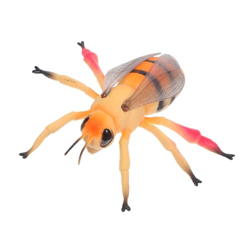 TOYANDONA Realistisches Bienenmodell aus Gummi Pädagogisches Insektenspielzeug für Naturgetreue Figur zur Umweltentdeckung Lernspielzeug und Dekoration für Geburtstage und Schule von TOYANDONA