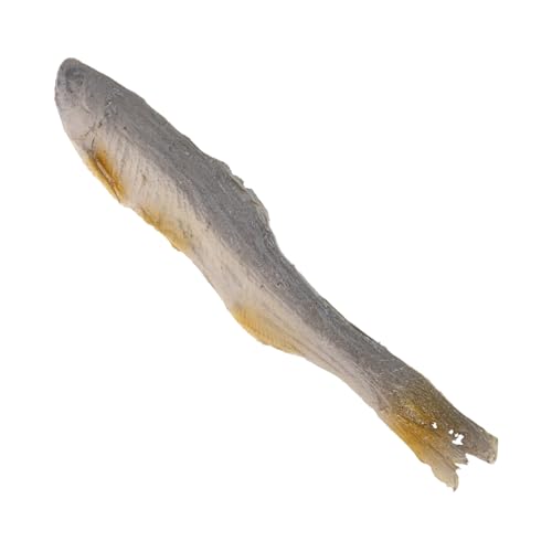 TOYANDONA Realistisches Fischfilet Modell Künstlicher Getrockneter Fisch Langlebiges Verblassungsbeständiges Food Prop für Restaurantdeko Fotografie Vielseitig Einsetzbar Leicht und Tragbar von TOYANDONA