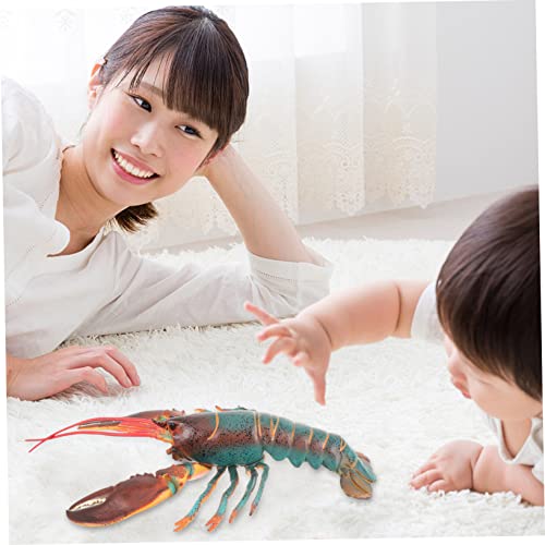 TOYANDONA Realistisches Hummer Modell aus Sicherem Kunststoff Lebensechte Hummerfigur als Kinderspielzeug und Dekoration Leicht und Tragbar für Schule Zuhause und Park Detailgetreues Lobster TOYANDONA Realistisches Hummer Modell aus Sicherem Kunststoff Lebensechte Hummerfigur als Kinderspielzeug und Dekoration Leicht und Tragbar für Schule Zuhause und Park Detailgetreues Lobster von TOYANDONA