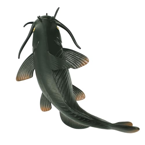 TOYANDONA Realistisches Kunststoff Welsmodell Kindgerechtes Lernspielzeug Naturgetreue Fischfigur Robustes Leichtes Kunststoffspielzeug für Naturwissenschaftliche Bildung und Dekoration von TOYANDONA