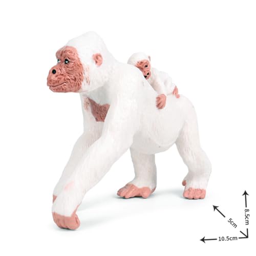 TOYANDONA Realistisches Monkey Modell aus Hochwertigem PVC Pädagogisches Affenornament für Fördert Tiererkennung Dekoratives Wildtierfiguren Sicher und Langlebig TOYANDONA Realistisches Monkey Modell aus Hochwertigem PVC Pädagogisches Affenornament für Fördert Tiererkennung Dekoratives Wildtierfiguren Sicher und Langlebig von TOYANDONA