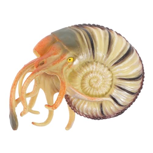 TOYANDONA Realistisches Nautilus Modell Kinderspielzeug Simulation Meerestier Lernspielzeug Animal Cognitive Toy Dekorationsfigur Leicht Tragbar Pädagogisch Kreativitätsfördernd TOYANDONA Realistisches Nautilus Modell Kinderspielzeug Simulation Meerestier Lernspielzeug Animal Cognitive Toy Dekorationsfigur Leicht Tragbar Pädagogisch Kreativitätsfördernd von TOYANDONA