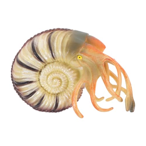 TOYANDONA Realistisches Nautilus Modell aus Hochwertigem PVC Tierfigur und Desktop Dekoration Kindgerechtes Lernspielzeug für Meeresbewohner Langlebig und Sicher für Jungen und Mädchen TOYANDONA Realistisches Nautilus Modell aus Hochwertigem PVC Tierfigur und Desktop Dekoration Kindgerechtes Lernspielzeug für Meeresbewohner Langlebig und Sicher für Jungen und Mädchen von TOYANDONA