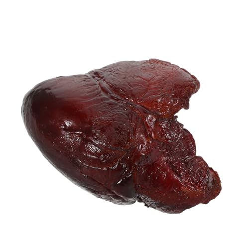 TOYANDONA Realistisches Schweineherz Modell Detailgetreuer Fake Food Prop Vielseitig für Restaurantdekoration Küchendisplay und Kreative Food Fotografie Kunstvoll Gestaltetes Kunstfleisch von TOYANDONA