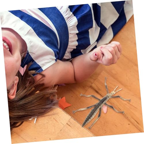 TOYANDONA Realistisches Stick Insektenmodell Kunststoff Figur für Lernspielzeug Deko Lustiges Kleinkindspielzeug für Frühe Bildung und Kreativität von TOYANDONA