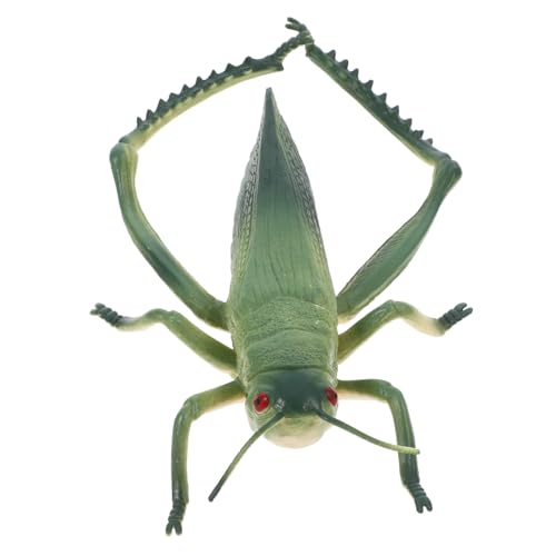 TOYANDONA Reptilienspielzeug Insekten lernspielzeug Naturgetreues Insektenspielzeug Grasfrosch Modell realistisches insektenspielzeug Cricket- für PVC Green TOYANDONA Reptilienspielzeug Insekten lernspielzeug Naturgetreues Insektenspielzeug Grasfrosch Modell realistisches insektenspielzeug Cricket- für PVC Green von TOYANDONA