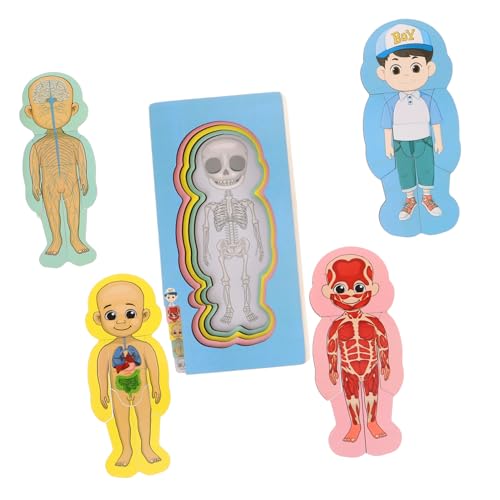 TOYANDONA Satz Puzzle Zur Struktur des Menschlichen Körpers Orgelmodelle Menschlicher Körper Puzzle Für Denksportaufgaben Gehirnspielzeug Für Gehirn Rätsel Holz TOYANDONA Satz Puzzle Zur Struktur des Menschlichen Körpers Orgelmodelle Menschlicher Körper Puzzle Für Denksportaufgaben Gehirnspielzeug Für Gehirn Rätsel Holz von TOYANDONA