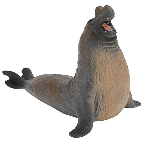 TOYANDONA Seehund-Figuren, Spielzeug, Seeelefant, Seehundfigur, Meerestier-Actionfiguren, Lernspielzeug für Kinder TOYANDONA Seehund-Figuren, Spielzeug, Seeelefant, Seehundfigur, Meerestier-Actionfiguren, Lernspielzeug für Kinder von TOYANDONA