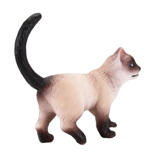 TOYANDONA Siamesische Katzenverzierung Mini-katzenverzierung Katzenmodell Aus Kunststoff Nachahmung Von Katzenspielzeug Desktop-Kunststoff-katzenornament Siamesisches Katzenmodell Plastik von TOYANDONA