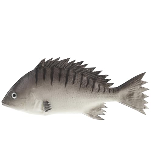 TOYANDONA Simulation Eines Karauschen-Modells – Realistisches Schreibtisch-Ornament Und Foto-Requisit Kleine Fischdekoration Für Zuhause Und Studio TOYANDONA Simulation Eines Karauschen-Modells – Realistisches Schreibtisch-Ornament Und Foto-Requisit Kleine Fischdekoration Für Zuhause Und Studio von TOYANDONA