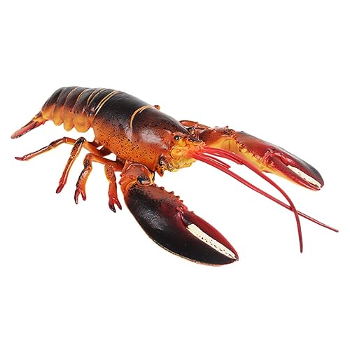 TOYANDONA Simulation Lobster Figurine aus Hochwertigem Kunststoff Realistische Große Nachbildung Dekoratives Tiermodell für Garten Bonsai und Balkon Stabiles und Sicheres Lernspielzeug TOYANDONA Simulation Lobster Figurine aus Hochwertigem Kunststoff Realistische Große Nachbildung Dekoratives Tiermodell für Garten Bonsai und Balkon Stabiles und Sicheres Lernspielzeug von TOYANDONA