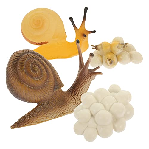TOYANDONA Simulations Schneckenmodell Lernspielzeug Kindgerechtes Wachstumszyklus aus Leichtes Pädagogisches Schneckenspielzeug für Dekoratives Lernobjekt und Naturerlebnis TOYANDONA Simulations Schneckenmodell Lernspielzeug Kindgerechtes Wachstumszyklus aus Leichtes Pädagogisches Schneckenspielzeug für Dekoratives Lernobjekt und Naturerlebnis von TOYANDONA