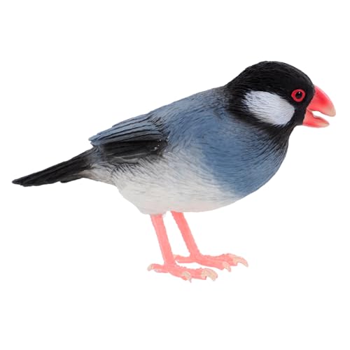 TOYANDONA Simulationsvogelmodell Miniatur Szene Kinderfigur Simulationsvogel Schmücken Vögel Für Kleine Lebensechte Vogelmodelle Schreibtischschmuck Lebensechter Simulierter TOYANDONA Simulationsvogelmodell Miniatur Szene Kinderfigur Simulationsvogel Schmücken Vögel Für Kleine Lebensechte Vogelmodelle Schreibtischschmuck Lebensechter Simulierter von TOYANDONA