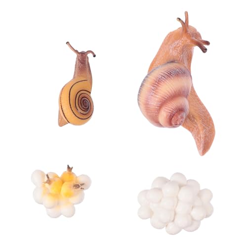 TOYANDONA Simulierte Tiermodelle Set Realistische Umweltfreundliche Spielfiguren Pädagogisch Lebenszyklusbezogen Kindgerecht für Garten und Wohnraumdekoration TOYANDONA Simulierte Tiermodelle Set Realistische Umweltfreundliche Spielfiguren Pädagogisch Lebenszyklusbezogen Kindgerecht für Garten und Wohnraumdekoration von TOYANDONA