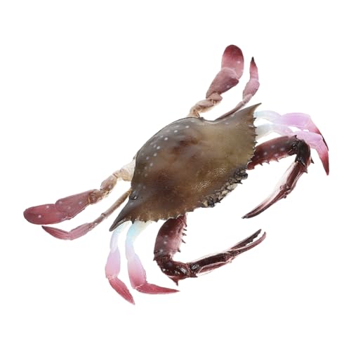 TOYANDONA Realistische Krabbenfigur Aus PVC Künstliches Krabbenmodell Für Aquarien Dekoration Pädagogisches Spielzeug Für Kinder Lebensechte Simulation Krabbendekor Für Lernzwecke von TOYANDONA