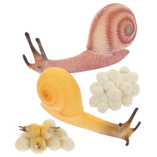 TOYANDONA Simuliertes Schneckenwachstumszyklus Modell Edukatives Lernspielzeug aus Sicherem Kunststoff Realistische Schneckenfiguren für Anschauliche Biologie Unterrichtsrequisiten von TOYANDONA