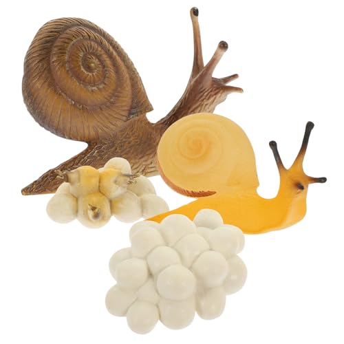 TOYANDONA Snail Growth Cycle Lernspielzeug aus Sicherem Kunststoff Realistische Schneckenmodelle für Pädagogisches Wachstumszyklus Spielset Vielseitig als Lernhilfe und Dekoration Geeignet von TOYANDONA