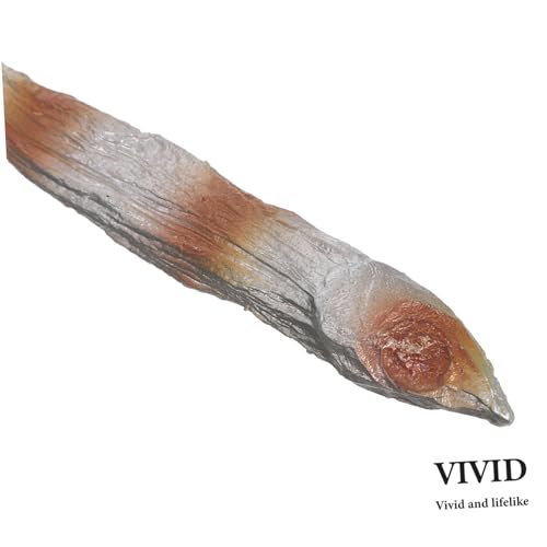 TOYANDONA Künstliche Fischfilet-Modelle Gefälschte Meeresfrüchte-Requisiten PVC-karpfenmodelle Künstliche Kleine Fische Kunstfisch-Dekoration Für Fotografie Und von TOYANDONA