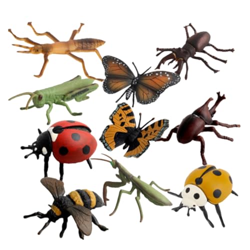 TOYANDONA Teiliges Kunststoff Insektenmodell Set Realistische Lernspielzeuge für Umweltbewusstes Spiel Langlebig Sicher für Bildung und Dekoration im Kinderzimmer und Klassenzimmer TOYANDONA Teiliges Kunststoff Insektenmodell Set Realistische Lernspielzeuge für Umweltbewusstes Spiel Langlebig Sicher für Bildung und Dekoration im Kinderzimmer und Klassenzimmer von TOYANDONA