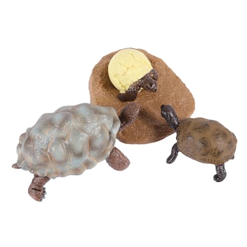 TOYANDONA Teiliges Schildkröten Realistisches Kunststoff tiermodell Pädagogisches Lernspielzeug für Naturerkennung und Kognitiven Entwicklung von TOYANDONA