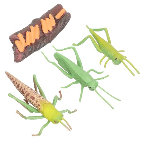 TOYANDONA Tierische Lernspielzeug Lebenszyklus Modelle für Realistische Insekten Figuren Pädagogisches Montessori Tierwachstum Lernspielzeug für Frühe Bildung und Rollenspiele von TOYANDONA