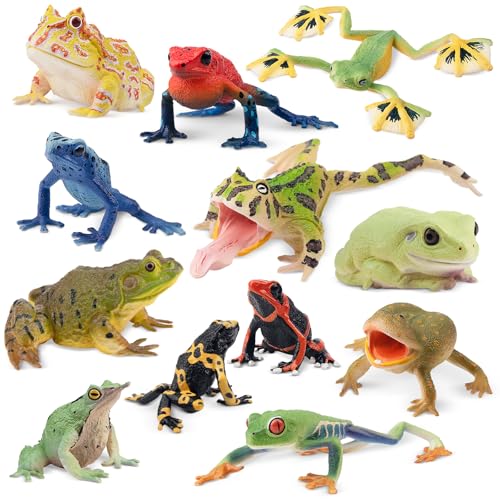 TOYMANY 12 Stück Frosch Tiere-Figuren Frösche Spielzeug Set Kunststoff Regenwald Figuren, Kuchen Topper Party Gunst Garten Blumentopf Pflanzen Dekor Halloween Dekoration Ornamente TOYMANY 12 Stück Frosch Tiere-Figuren Frösche Spielzeug Set Kunststoff Regenwald Figuren, Kuchen Topper Party Gunst Garten Blumentopf Pflanzen Dekor Halloween Dekoration Ornamente von TOYMANY