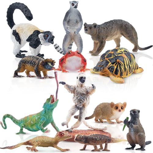 TOYMANY 12 Stück Madagaskar Tiere Figuren, realistische Wald Tiere Figuren Spielzeug, Dschungel Tier Figuren Set, Wild Zoo Spielzeug, Weihnachts-Geburtstagsgeschenk, zum Spielen oder als Deko TOYMANY 12 Stück Madagaskar Tiere Figuren, realistische Wald Tiere Figuren Spielzeug, Dschungel Tier Figuren Set, Wild Zoo Spielzeug, Weihnachts-Geburtstagsgeschenk, zum Spielen oder als Deko von TOYMANY