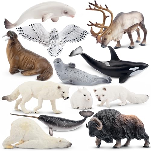 TOYMANY 12 Stück Realistische Arktische Tiere-Figuren, Polar Spielfiguren Set, Polar Spielzeug Winter Figuren Tierfigur, enthält Eisbär, Karibu, Kuchen Dekoration, Weihnachts Geburtstags Geschenk von TOYMANY