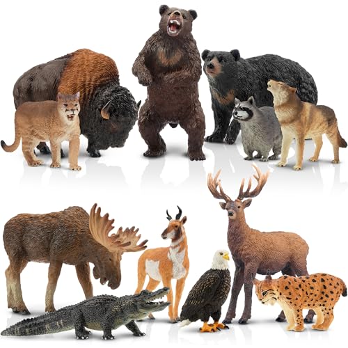 TOYMANY 12 Stück Tiere-Figuren Set Wald Spielfiguren Spielzeug,Nordamerikanische Waldtierfiguren Enthält Waschbär,Luchs,Wolf,Bär,Adler,Plastiktiere Zoo Dschungel Wild Tierfiguren für Kinder TOYMANY 12 Stück Tiere-Figuren Set Wald Spielfiguren Spielzeug,Nordamerikanische Waldtierfiguren Enthält Waschbär,Luchs,Wolf,Bär,Adler,Plastiktiere Zoo Dschungel Wild Tierfiguren für Kinder von TOYMANY