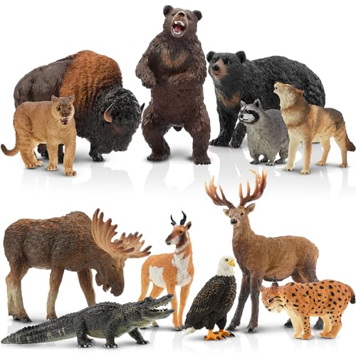 TOYMANY 12 Stück Tiere-Figuren Set Wald Spielfiguren Spielzeug,Nordamerikanische Waldtierfiguren Enthält Waschbär,Luchs,Wolf,Bär,Adler,Plastiktiere Zoo Dschungel Wild Tierfiguren für Kinder von TOYMANY