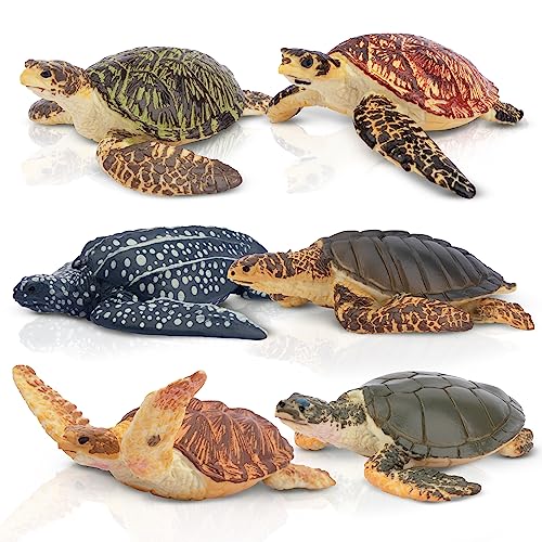 TOYMANY 6 Stück Schildkröten Figurines Realistische Schildkröte Tiere-Figuren Set Ocean Spielfiguren Spielzeug MeeresTierfiguren realistisch, Schildkröte Spielzeug für Kinder,zum spielen oder als Deko von TOYMANY