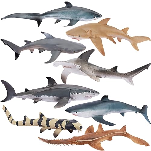 TOYMANY 8 Stück Hai Tiere-Figuren Set Ocean Spielfiguren Hai Spielzeug Meerestierfiguren mit Hammerhai, Weißer Hai, Zitronenhai, Badewannenspielzeug für Kinder, zum Spielen oder als Deko von TOYMANY