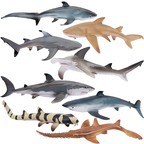 TOYMANY 8 Stück Hai Tiere-Figuren Set Ocean Spielfiguren Hai Spielzeug Meerestierfiguren mit Hammerhai, Weißer Hai, Zitronenhai, Badewannenspielzeug für Kinder, zum Spielen oder als Deko TOYMANY 8 Stück Hai Tiere-Figuren Set Ocean Spielfiguren Hai Spielzeug Meerestierfiguren mit Hammerhai, Weißer Hai, Zitronenhai, Badewannenspielzeug für Kinder, zum Spielen oder als Deko von TOYMANY