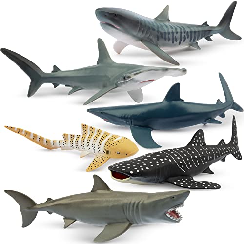 TOYMANY 6 Stück Hai Tiere-Figuren Set Ocean Spielfiguren Spielzeug 12-14CM Meerestiere Figuren Tierfiguren realistisch, Hai Spielzeug für Kinder,zum Spielen oder als Deko von TOYMANY