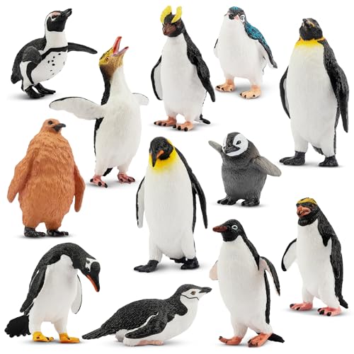 TOYMANY 12 Stück Pinguin Tiere-Figuren Set Antarktis Tierfiguren Polar Spielfiguren Winter Spielzeug kleine-Tiere Plastiktiere Realistische Pinguin Tierfigur, zum Spielen oder als Deko von TOYMANY
