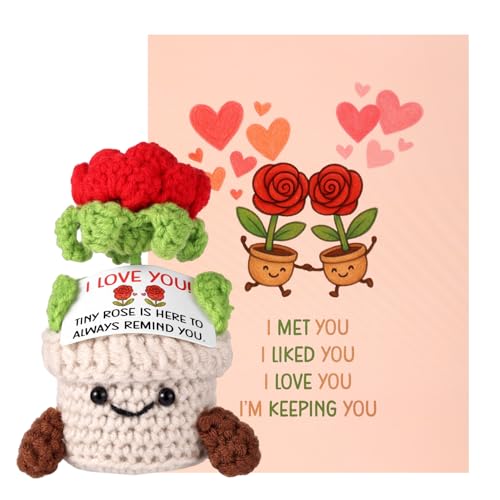 TOYMIS Positive Rose Gehäkelt, 13x6x6cm Rote Gehäkelte Rose mit Inspirierender Karte Emotionale Topfblumen Häkelpuppe für Ehepartner (für Ehemann) von TOYMIS
