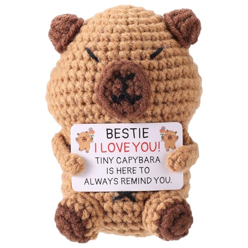 TOYMIS Positives Capybara Häkeln, 9 x 7 x 7 cm Handgestricktes Capybara mit Ermutigungskarte Emotionales Häkel Unterstützungsgeschenk (für Bestie) von TOYMIS
