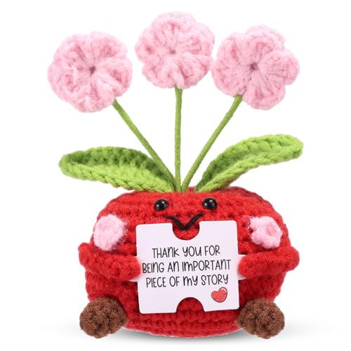 TOYMIS Süßes Dankeschön Geschenke, Handgefertigt Positiver Apfel mit Grußkarte Mini Häkelpuppe Positive Blumen Herzliche Dankesgeschenke für Lehrerinnen Freundinnen von TOYMIS
